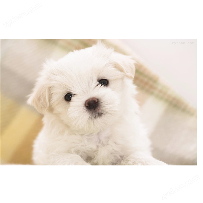 科研低溫保存箱