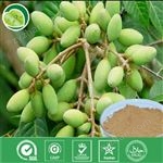 橄欖葉提取物  羥基酪醇 5%