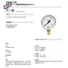 WIKA波登管壓力表徑向連接