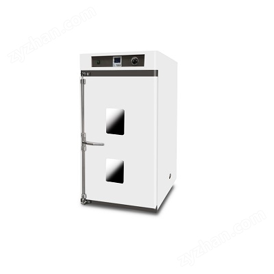 立式鼓風(fēng)干燥箱DHG-9625AE(620L)