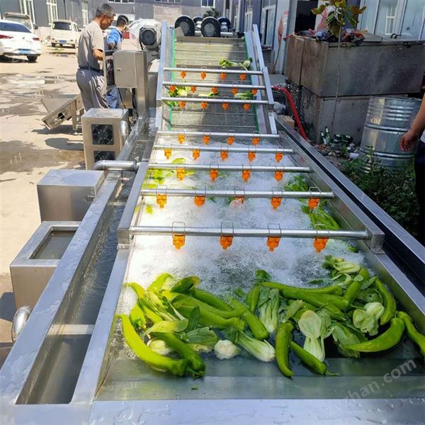 辣椒 青椒清洗機 冷水翻滾沸騰式葉類蔬菜清洗機設備圖片